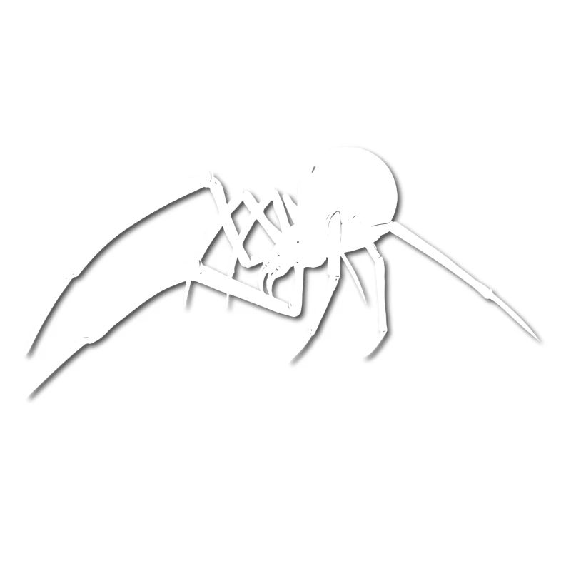 Spinne