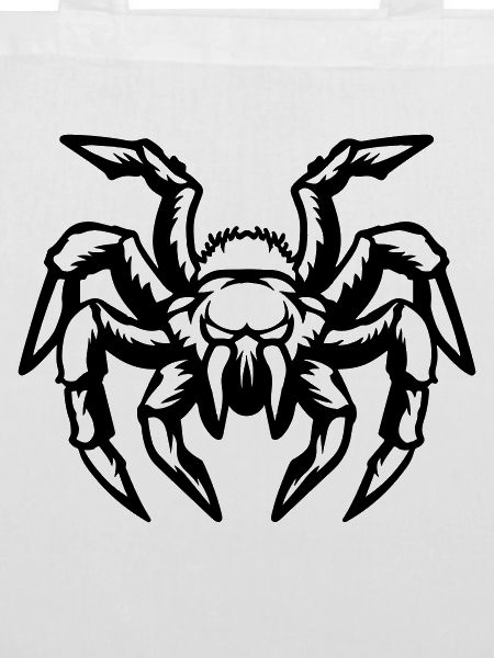 spinne