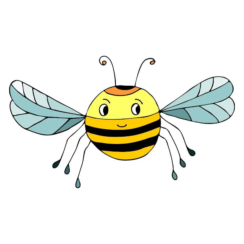 Insecte