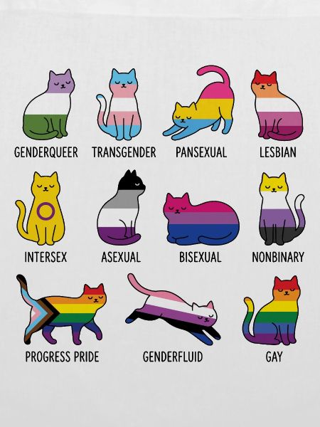 LGBTQ-Pride-Monat – Rainbow Cats