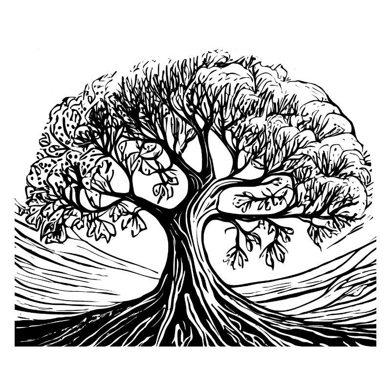 Bonsai forest tree black white