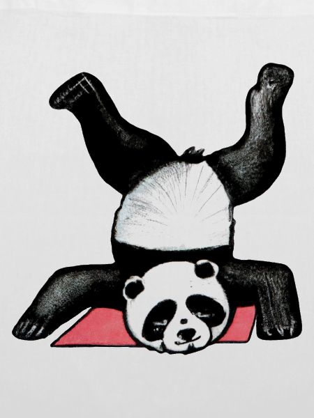 Panda Akrobat auf Matte