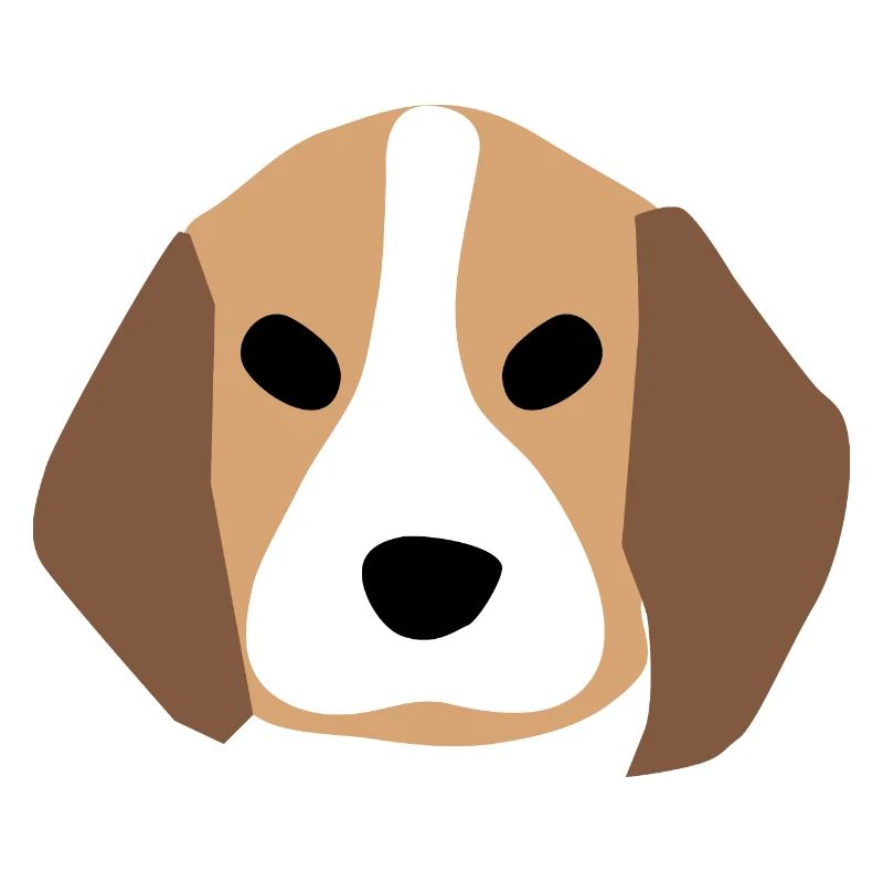 Beagle Welpengesicht 1
