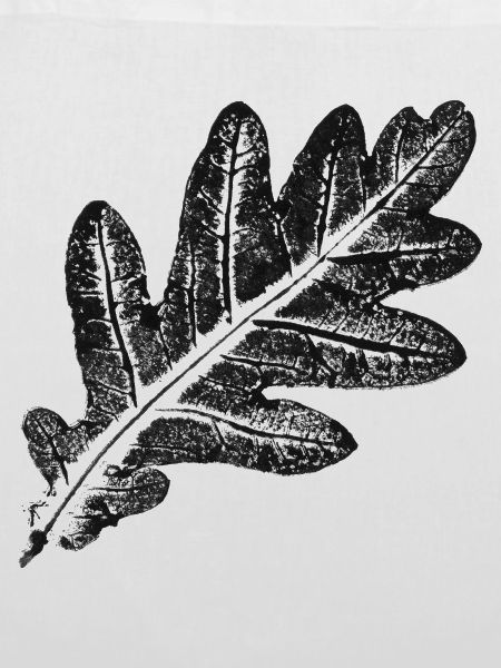 Eichenblatt - Natur & Wald Botanik Design