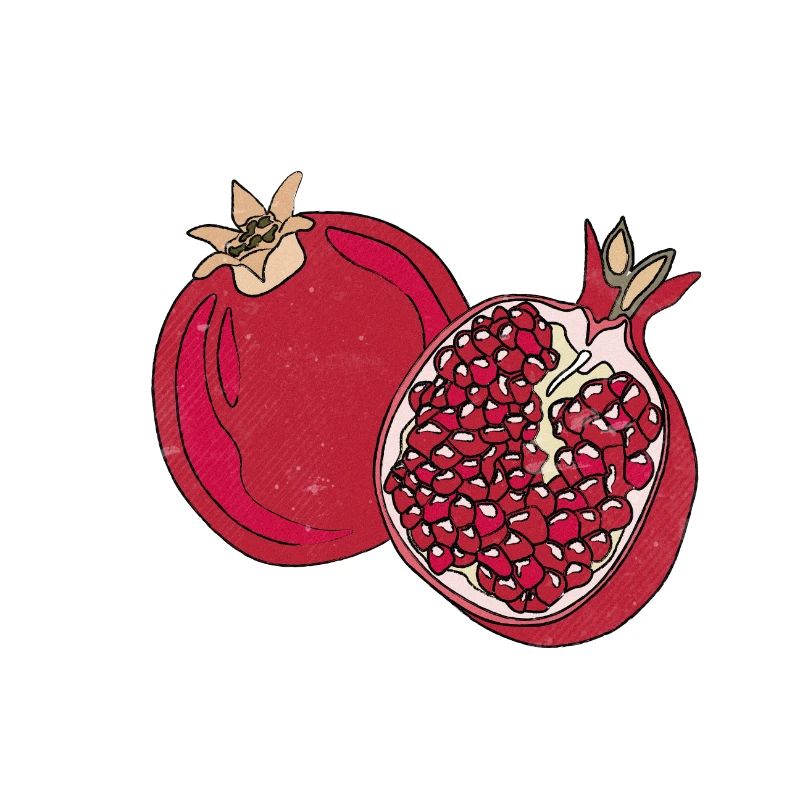 Grapefruit Sommer Frucht Lecker Spaß Geschenk