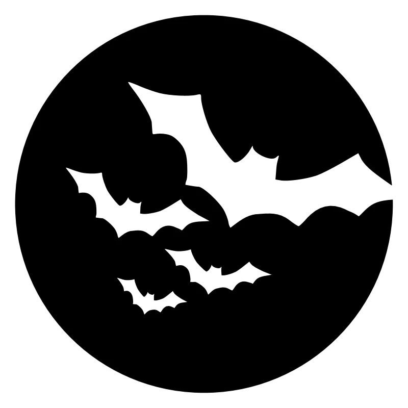 Fledermaus