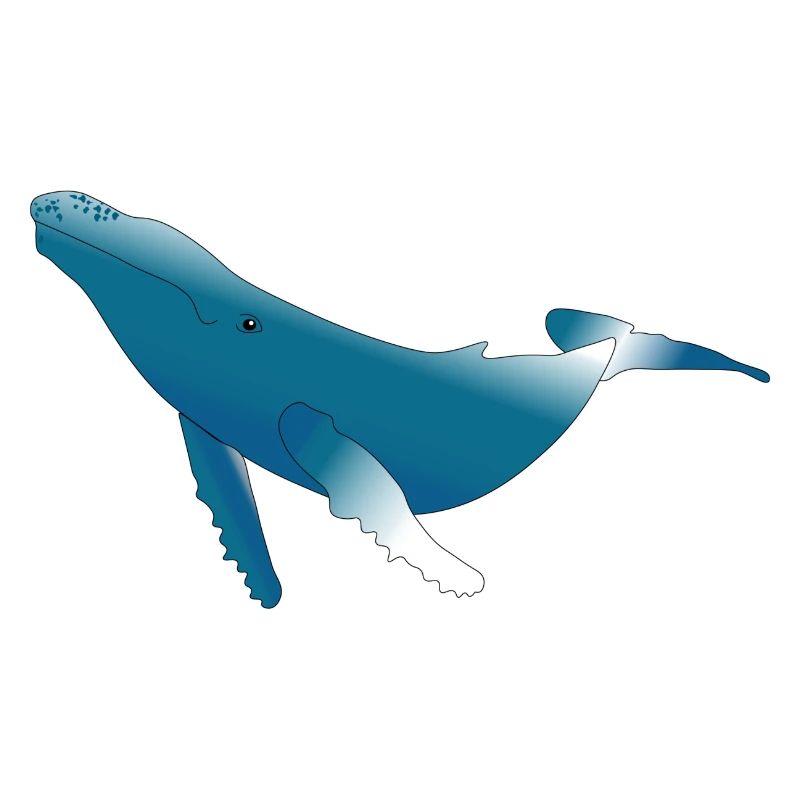 Humpback