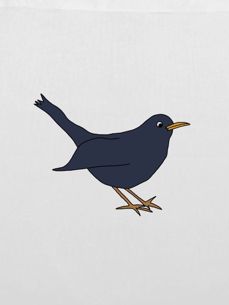 Amsel *** blanko