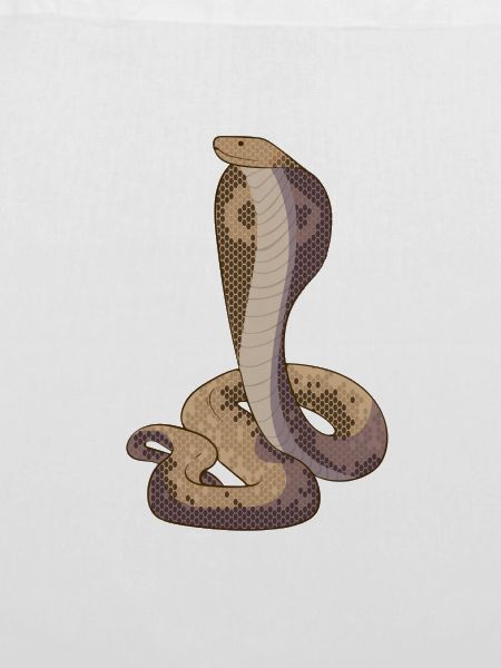 Cobra Schlange