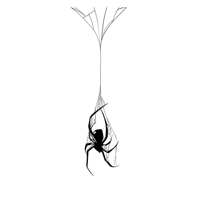 Fun gift spider