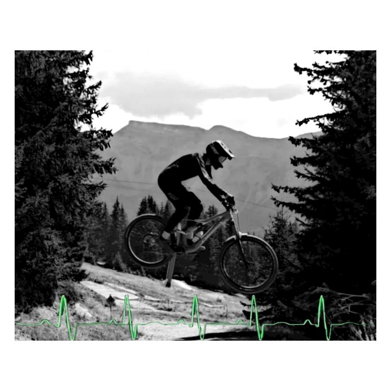 MTB Downhill
