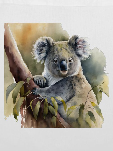 Koala Aquarell
