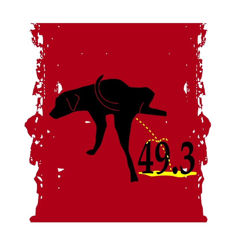49.3