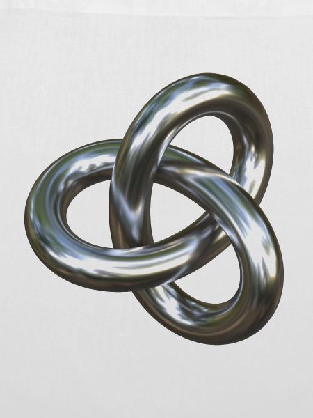 Torusknoten Silber 3D