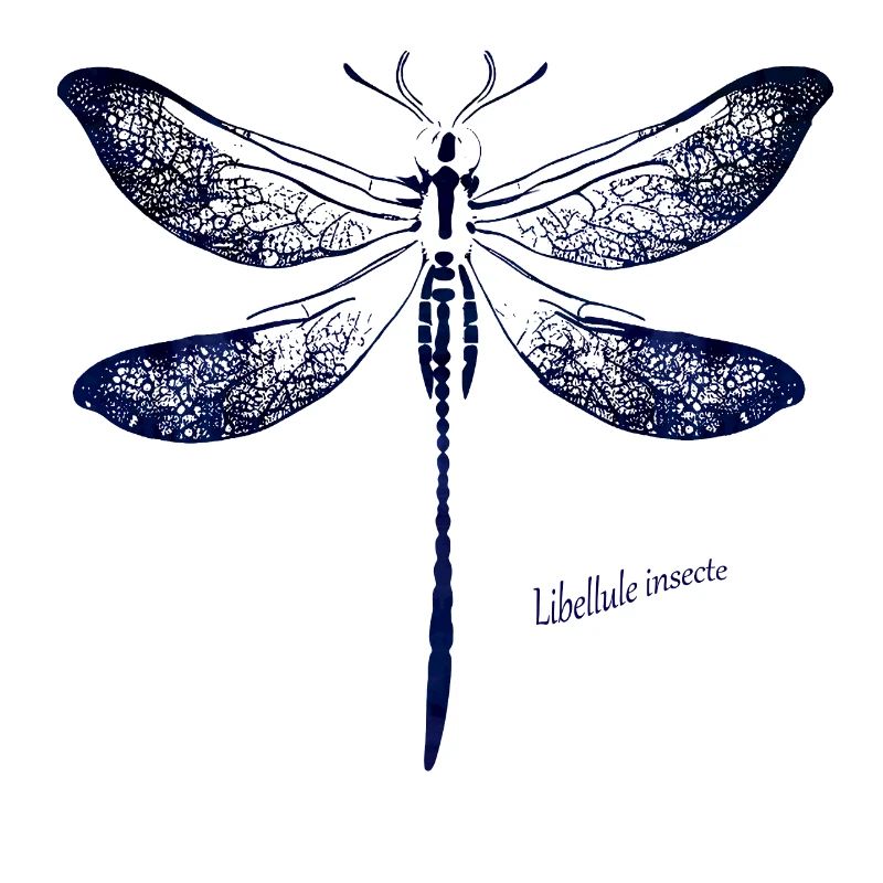 Tiefblaue Libellen Silhouette