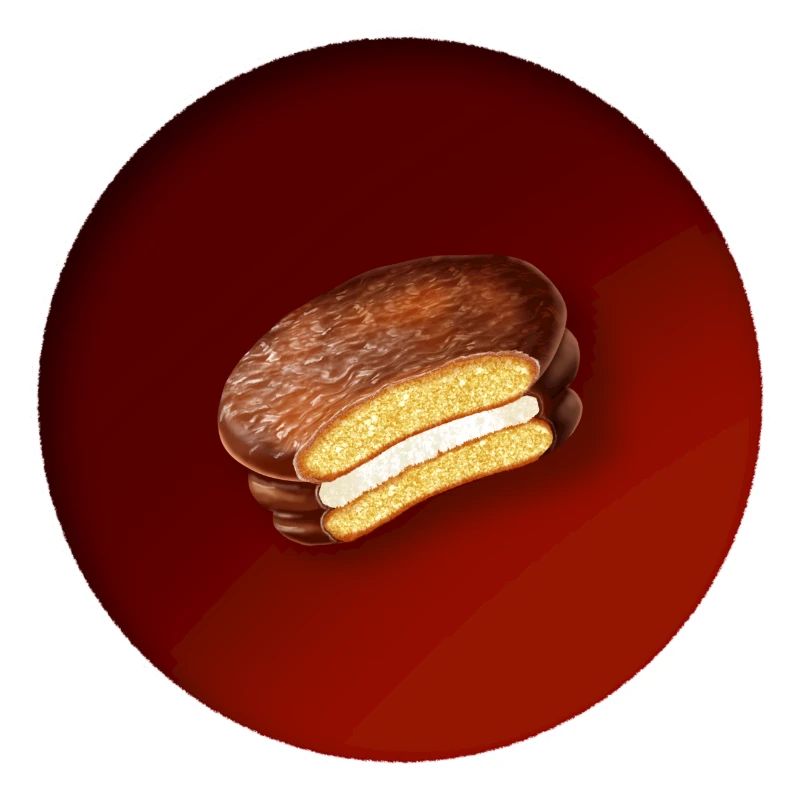 a delicious biscuit with chocolate