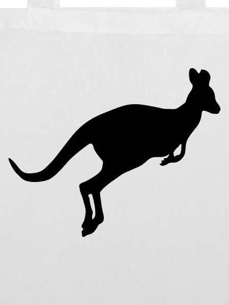kangaroo 01