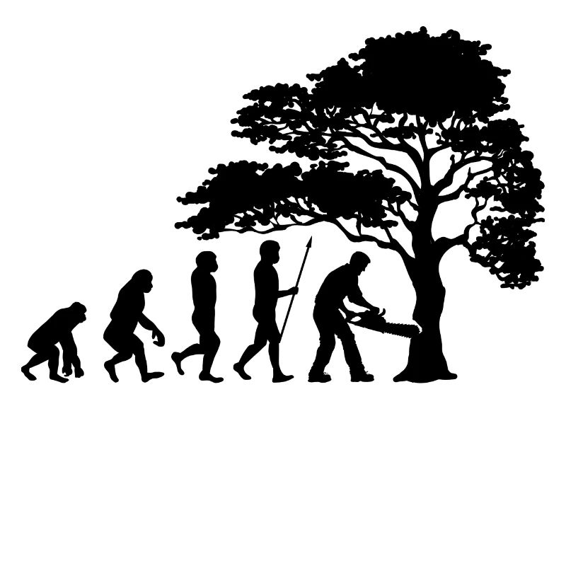 Holzfäller Baum Evolution Säge Sägespäne