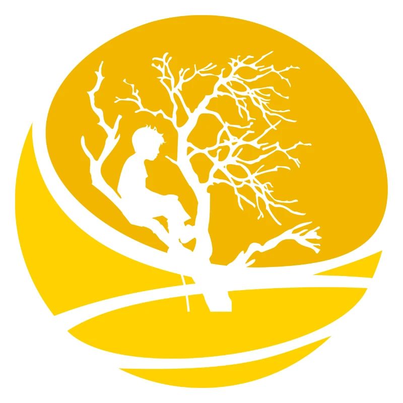 Tree Climbing Climbing Monkey Climbing