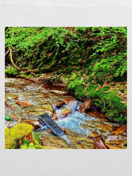 Wasserfall im Grünen Naturdesign