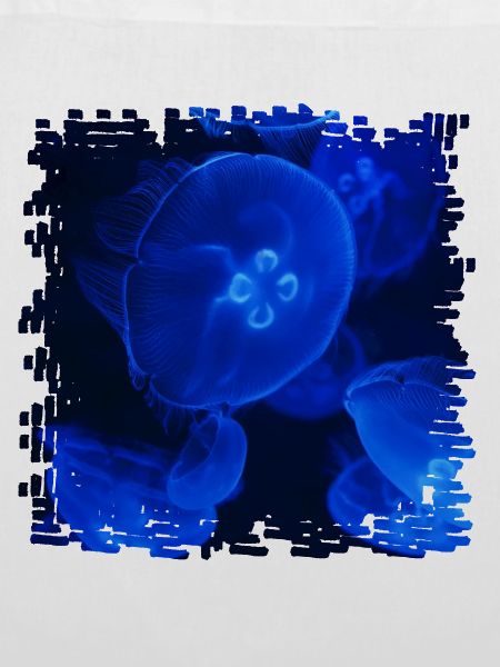 Neonquallen Unterwasserzauber