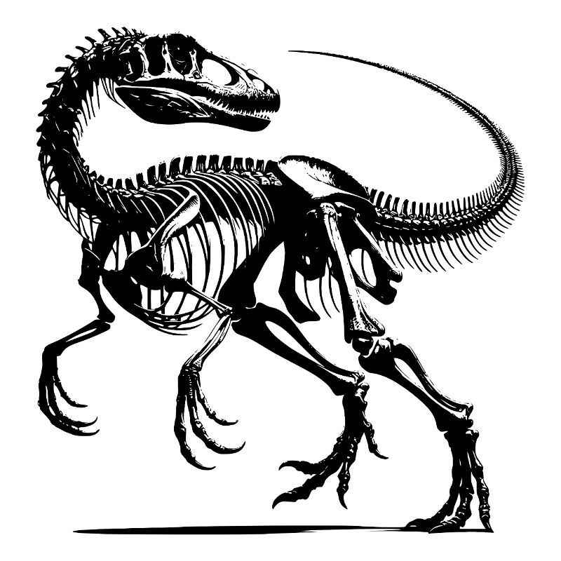 Raptor Dinosaurier Knochenarbeit aus der Urzeit