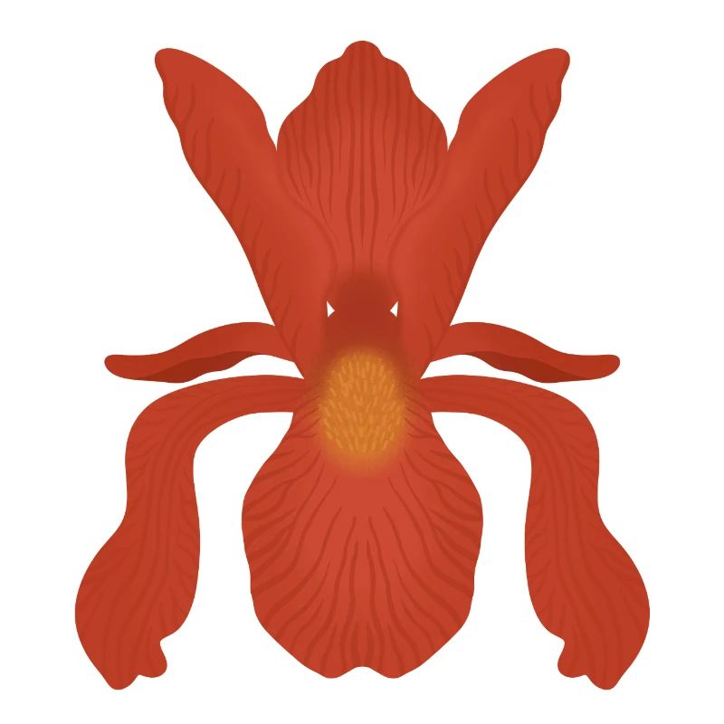 Flamme d’Iris Cramoisi