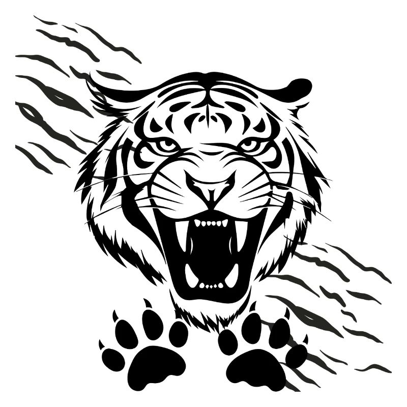 Arched Shadows and Tiger
