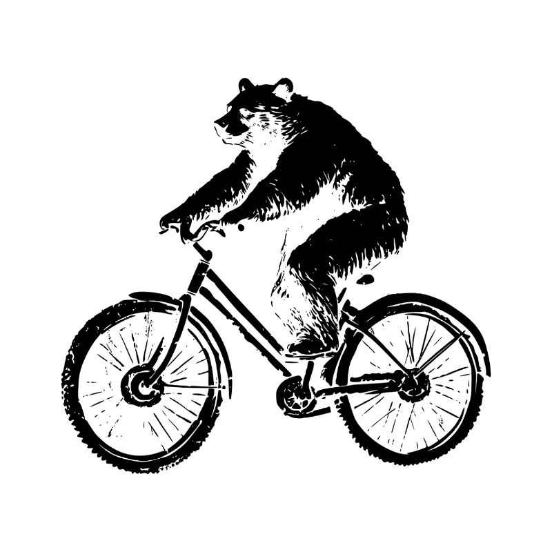 Bicycle Bear