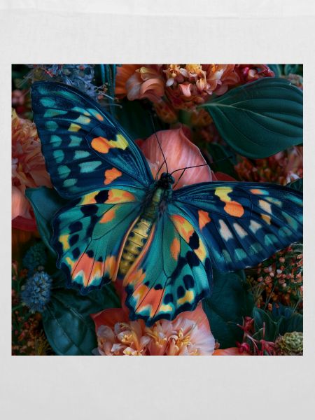 Bunter Schmetterling auf Blumen