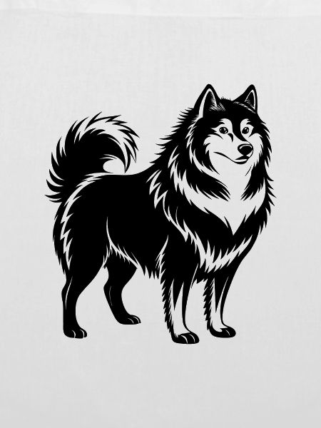 Finnischer Lapphund