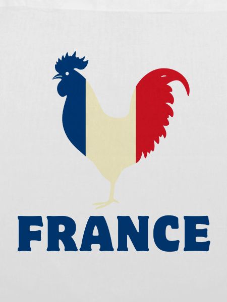 Frankreich Flagge