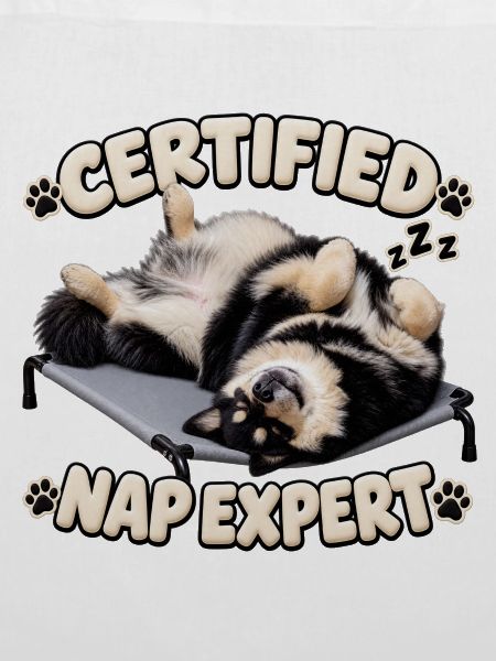 Zertifizierter Nickerchen-Experte – Finnischer Lapphund