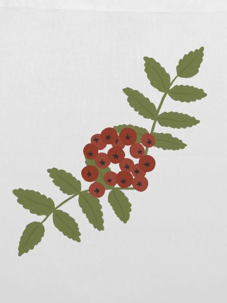 Crimson Rowan Cluster
