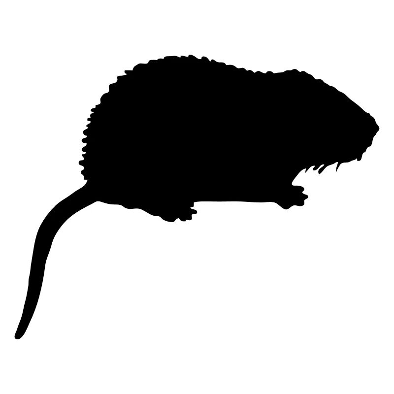 nutria_n1