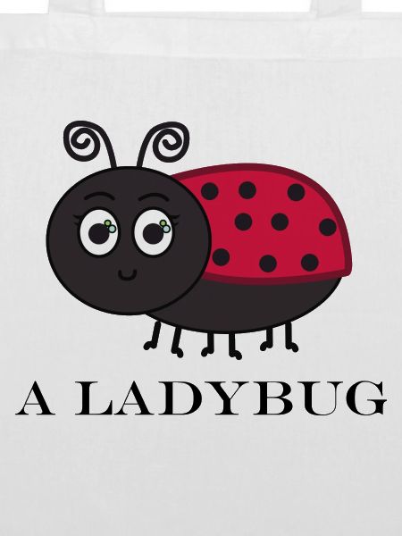 AN LADYBUG