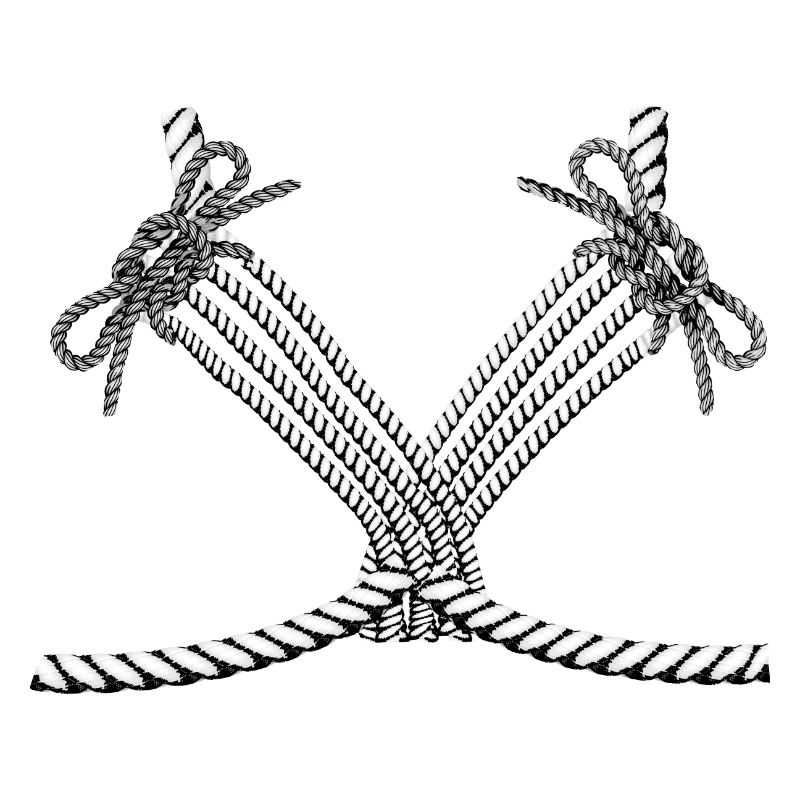 Shibari 3