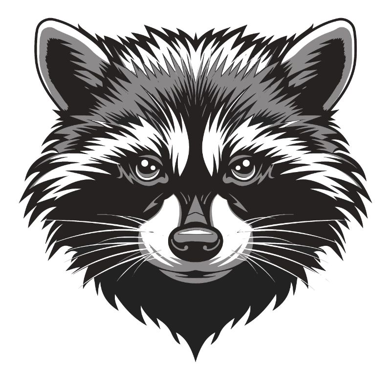 Waschbär