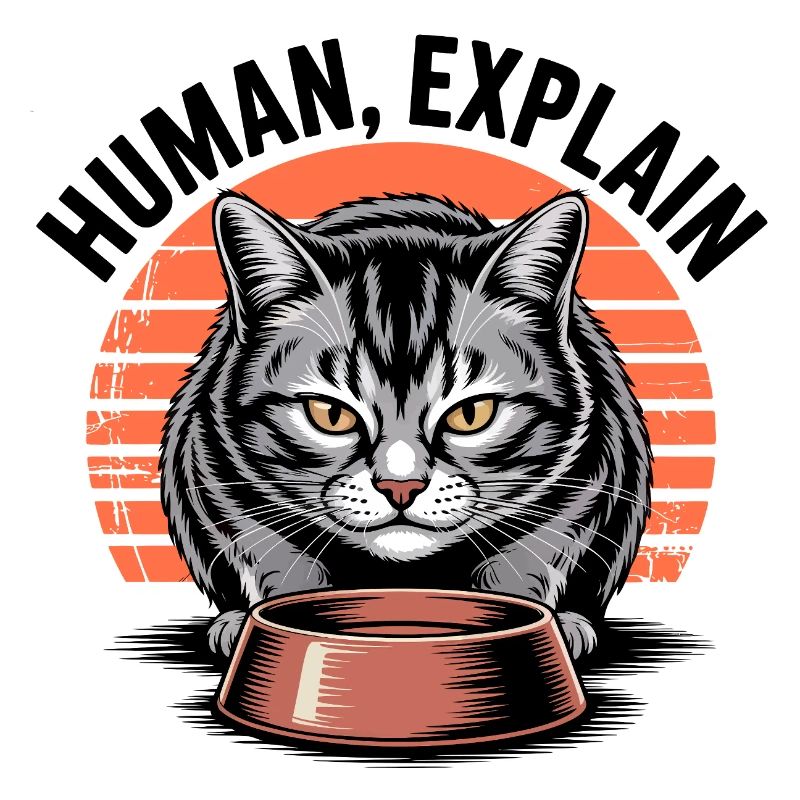 Mensch Explain Katze