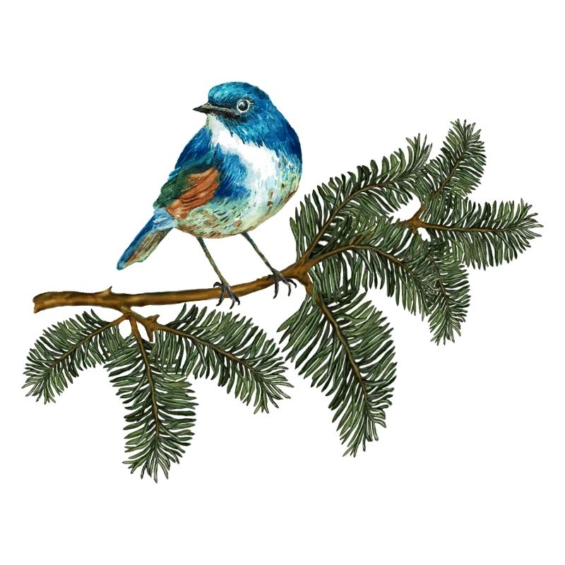 Blauer Vogel