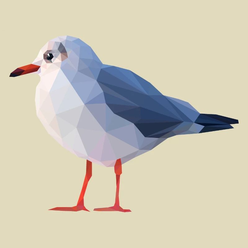 Möwe