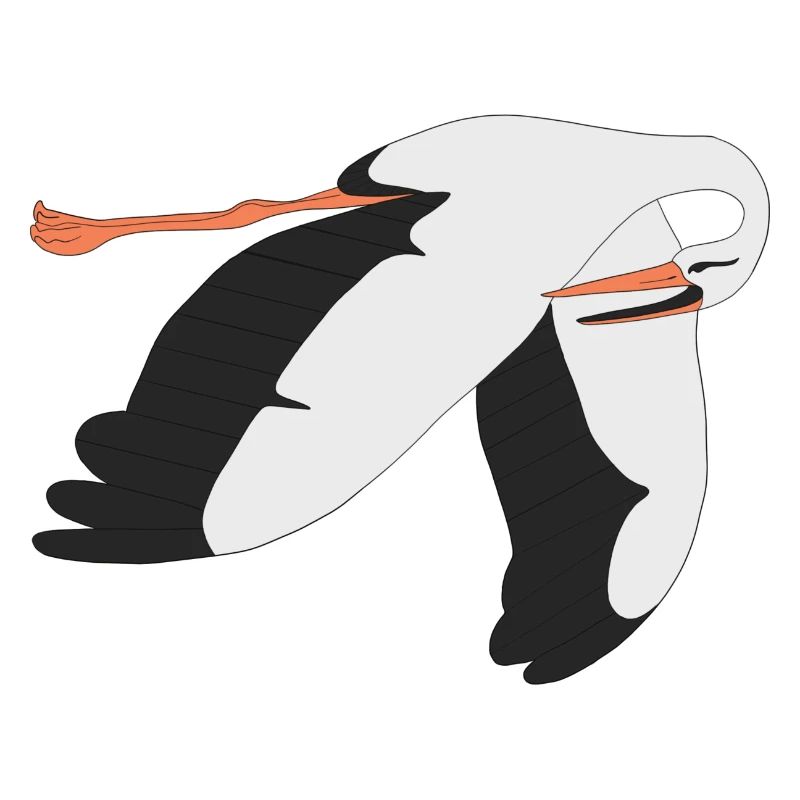 Storch