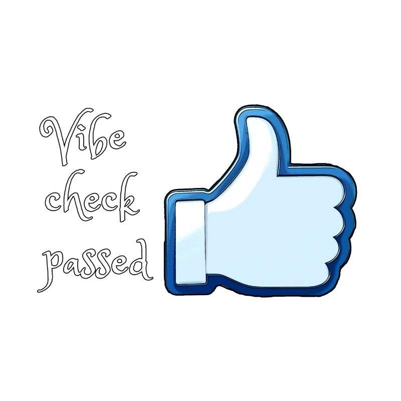 Vibe check passed