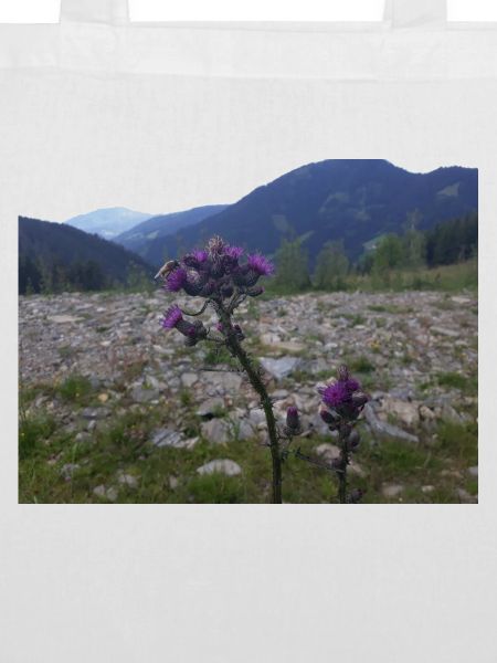 Alpine flower