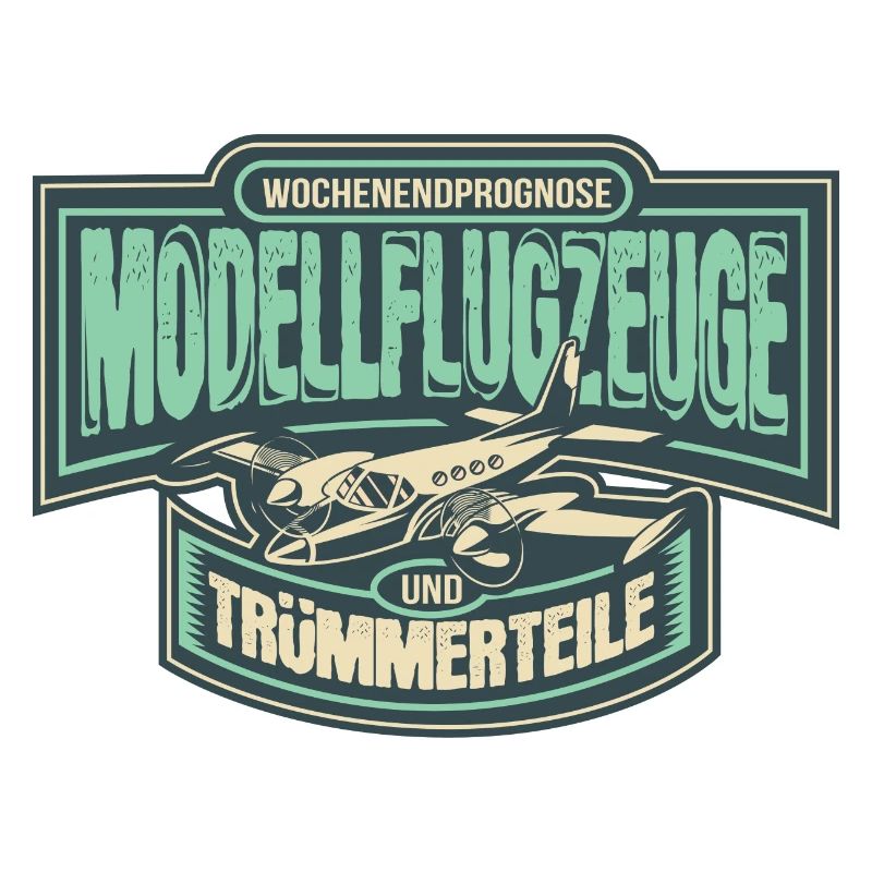 Model aircraft RC Model Model Model Pilot