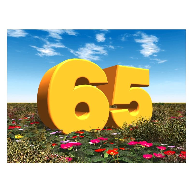 Year 65