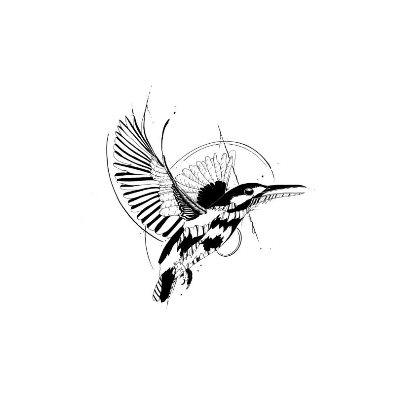 Eisvogel