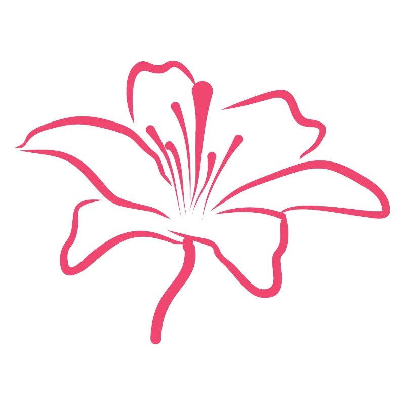 Bloomyvitae Blüte Rosa