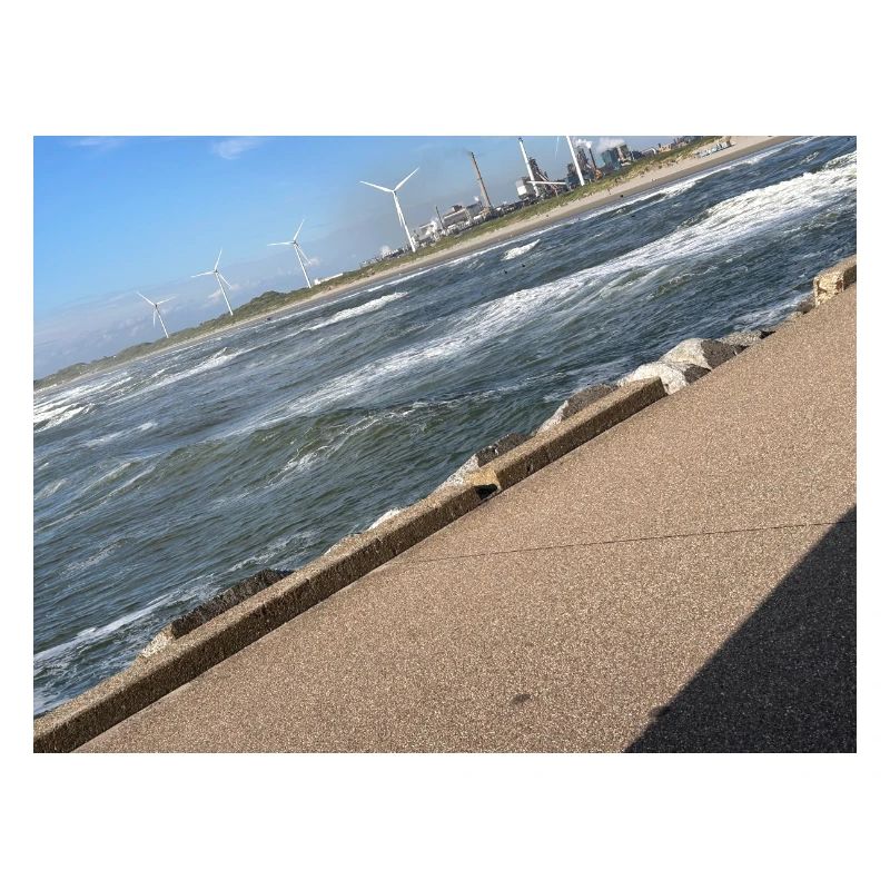 Bild 7264