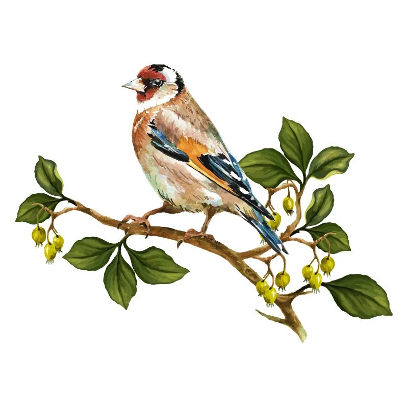 Bunte Vogel